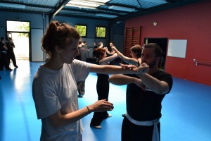 hunggarnancy-artsmartiaux-wushu-kungfu-ericbourbonnais-18juin2016-3   